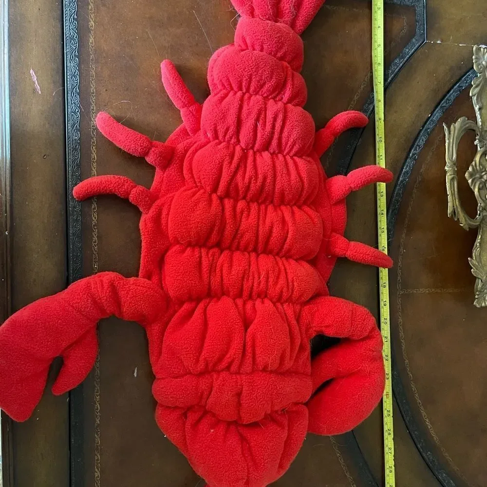🦞 🎃 ADORABLE Red ROCK Lobster Halloween costume!